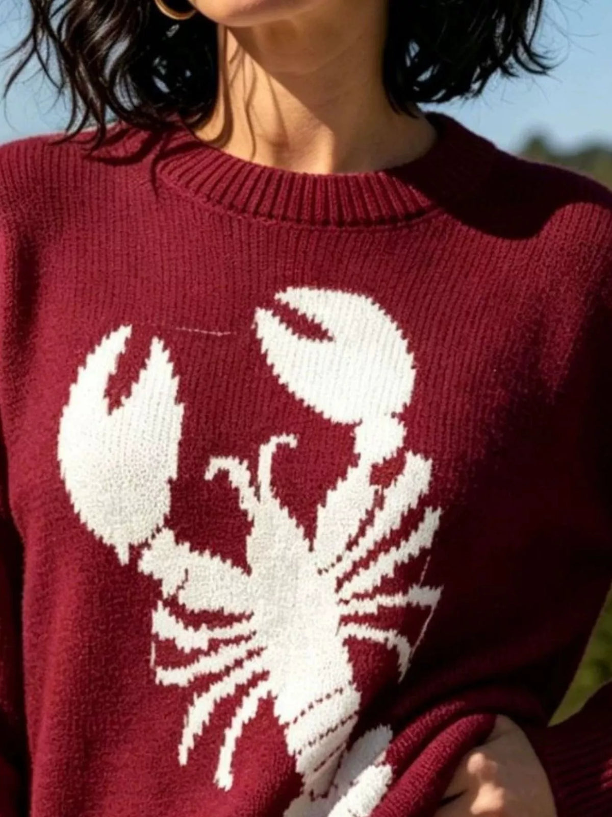 Lobster graphic crew neck sweater