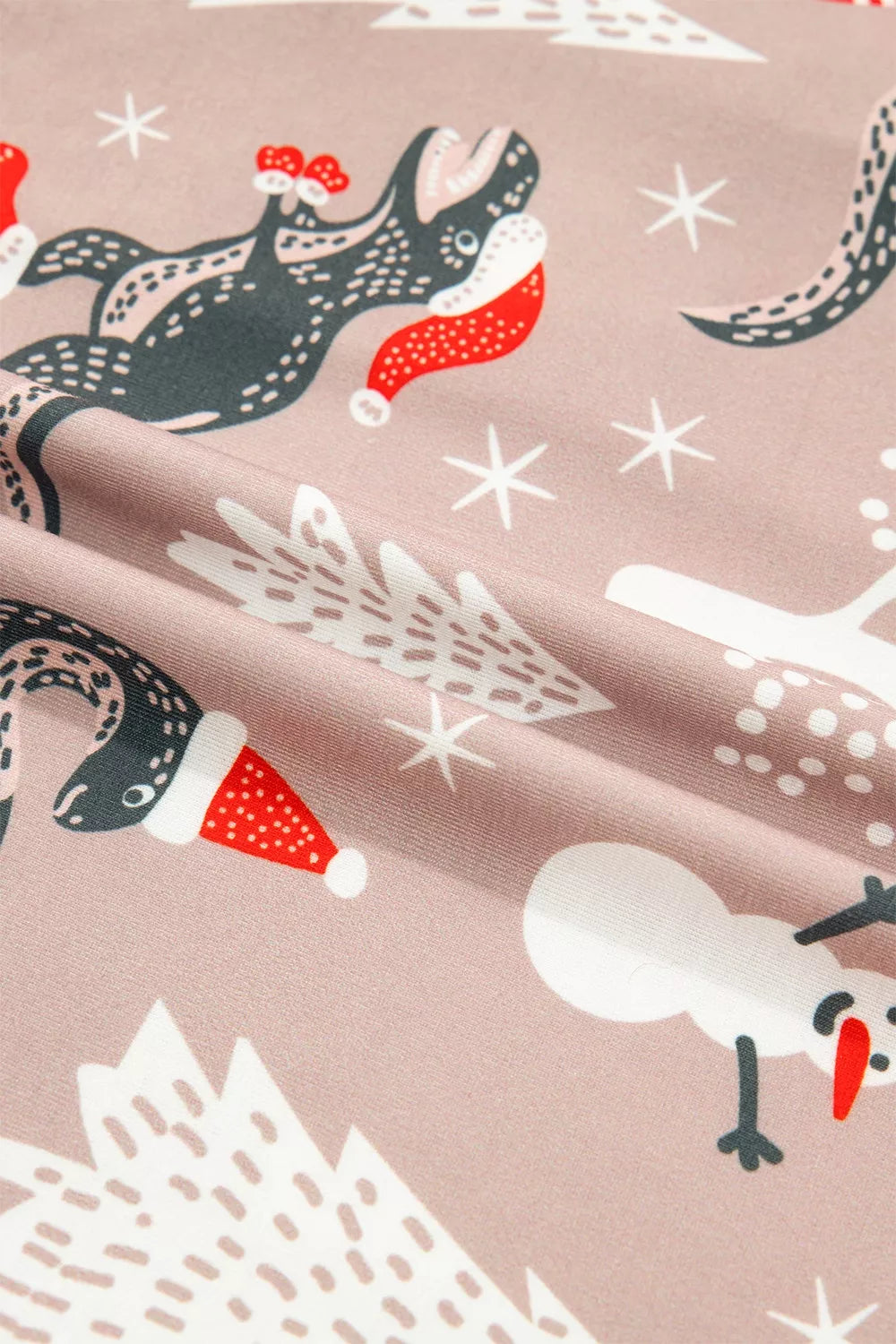 Christmas Dinosaur Print Lounge Top and Pants Set, print detail