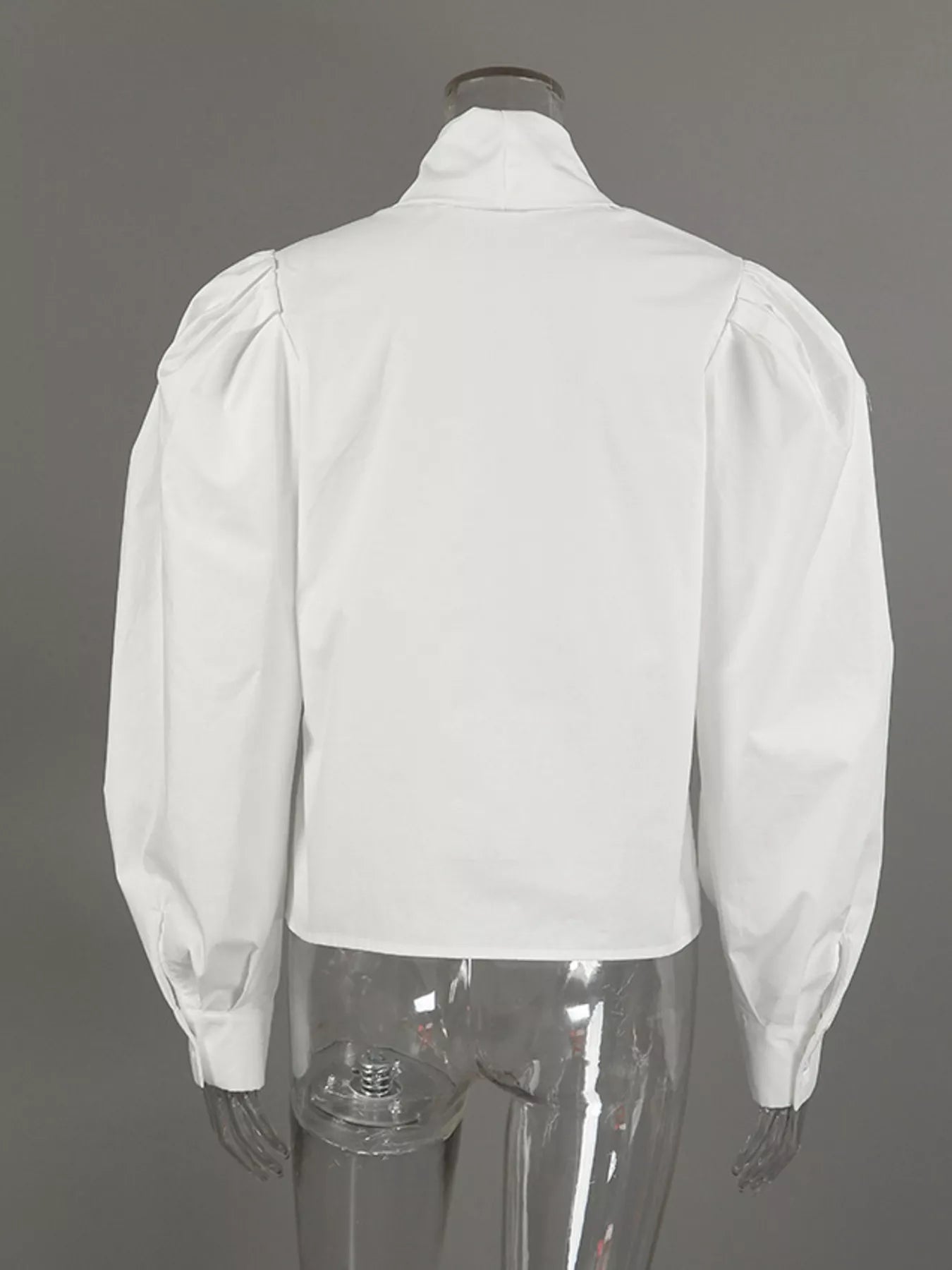 Trendsi Tie Front Puff Sleeve Shirt -