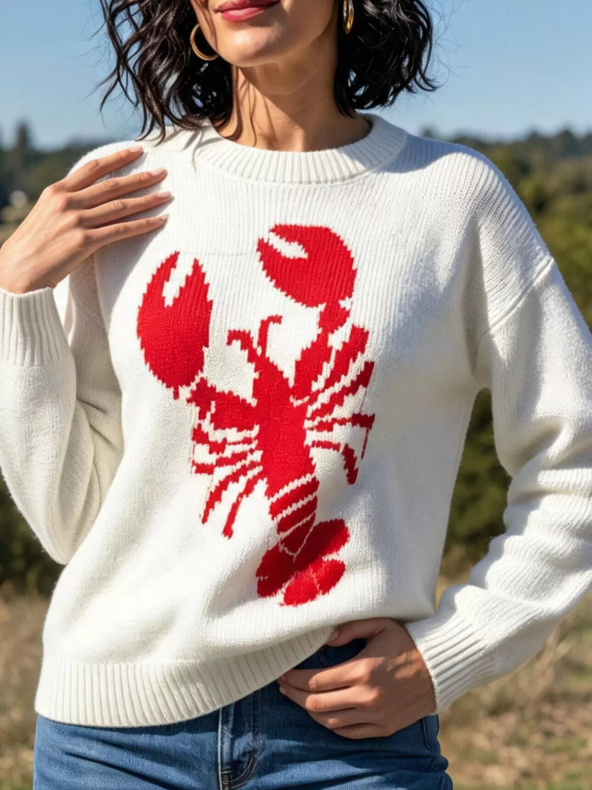 Lobster graphic crew neck sweater