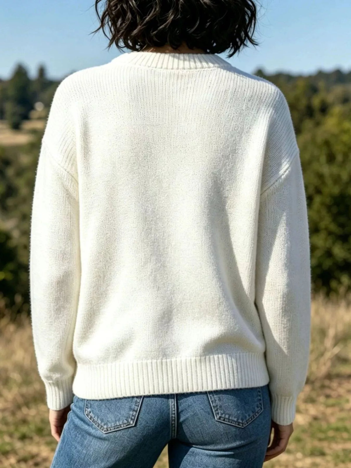 Lobster graphic crew neck sweater