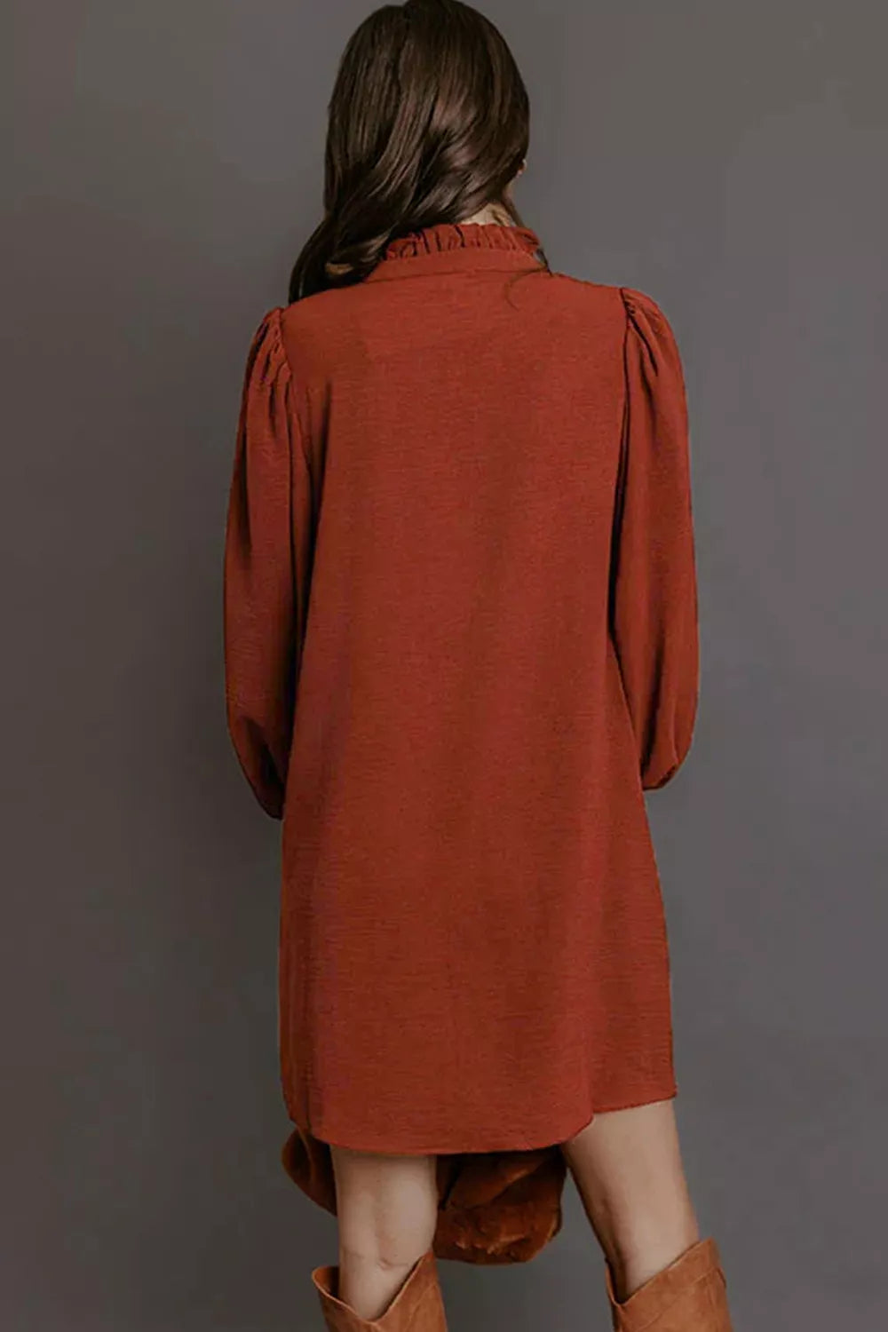 Trendsi Solid Shift Long Sleeve Short Length Dress -