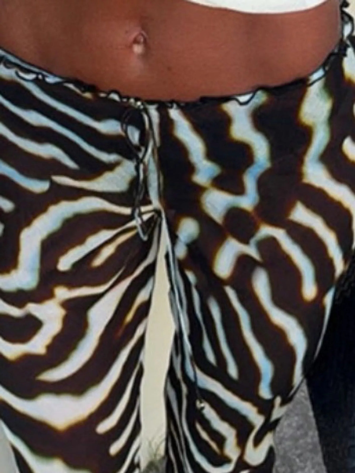 Zebra Print Sheer Mesh Top and Pants Set, detail view in multicolor