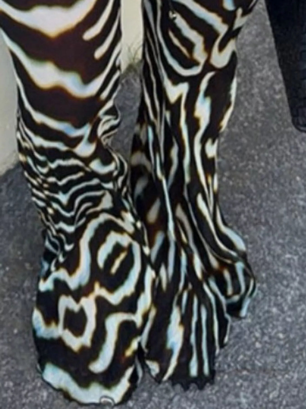 Zebra Print Sheer Mesh Top and Pants Set, detail view in multicolor