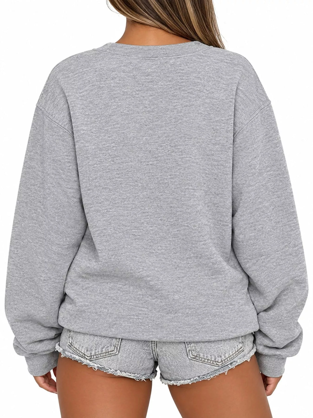 Pullover sweatshirt, gray back
