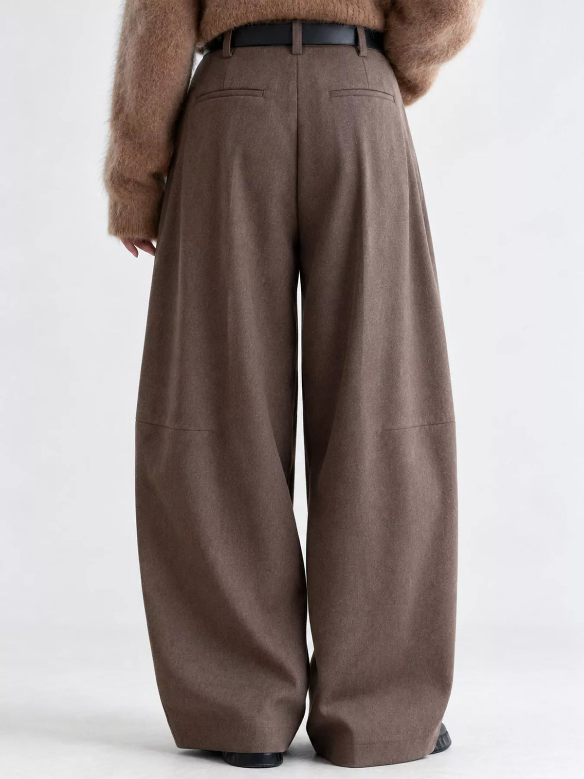 Pleated Wide-Leg Pants in brown, back view