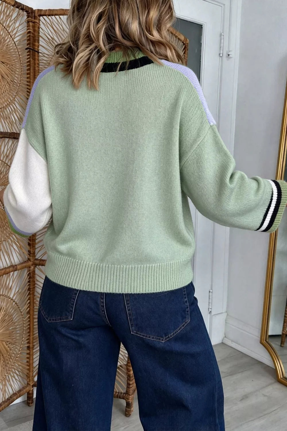 Colorblock Crew Neck Sweater — back view