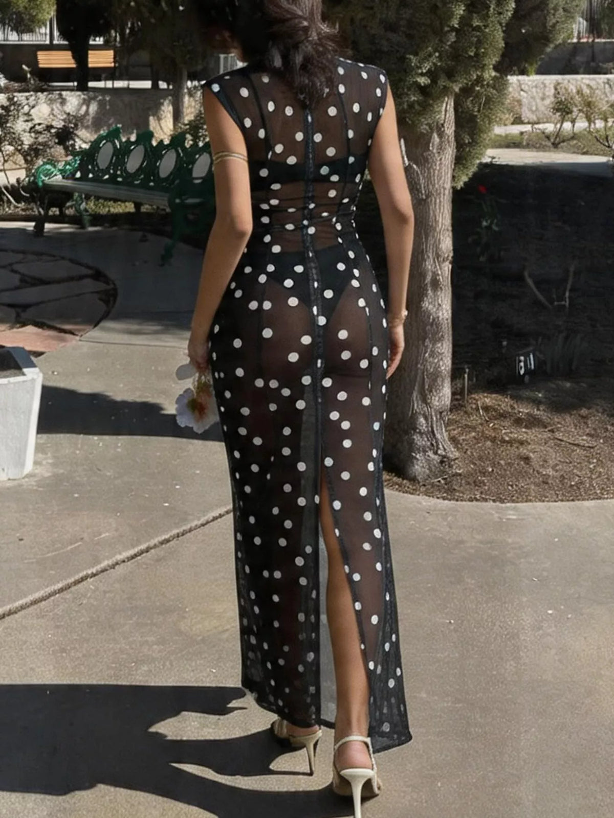 Sheer Polka Dot Maxi Dress — back view