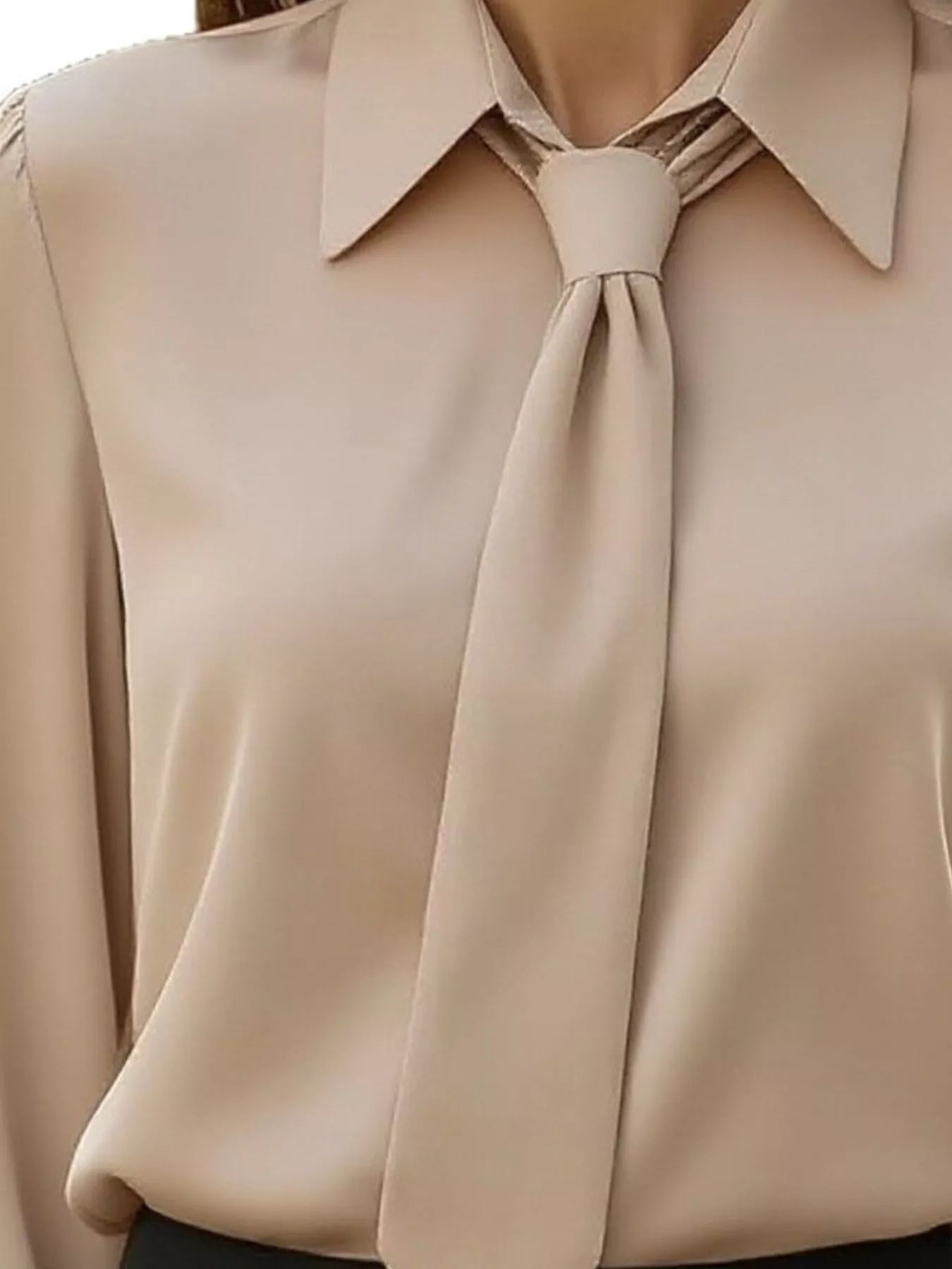 Trendsi Tie-Neck Long Sleeve Blouse -