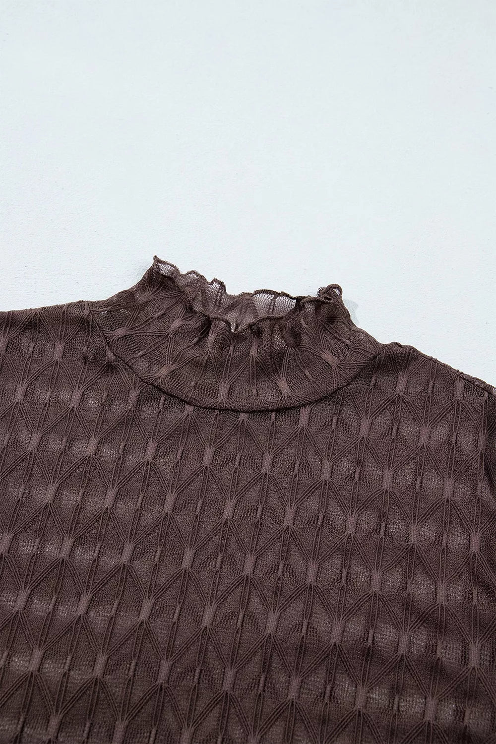 Trendsi Sheer Textured Lace Stand Neck Long Sleeve Top -