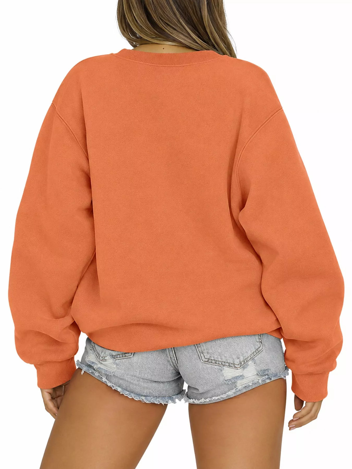 Pullover sweatshirt, orange back