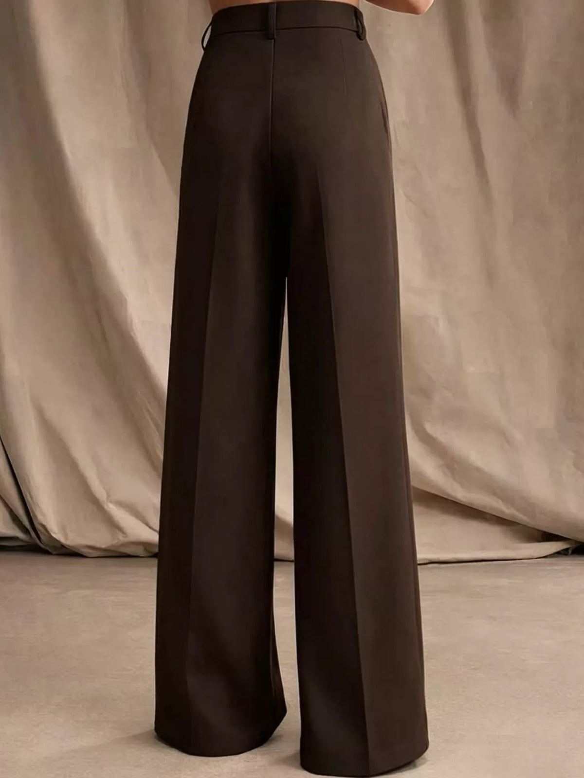 Women's Pleated Wide-Leg Trousers in brown — back view