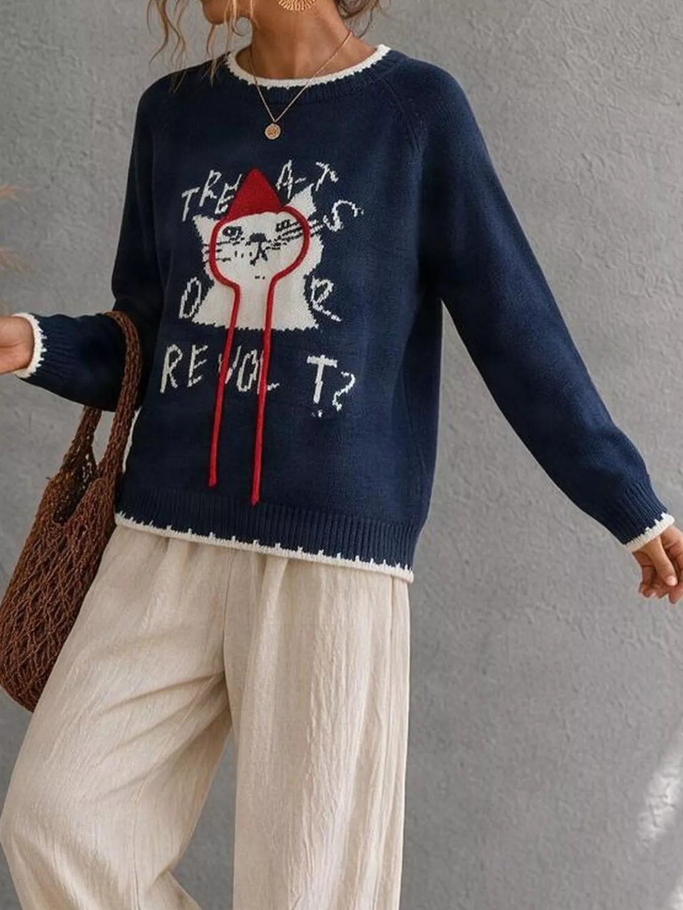 Trendsi Cat Raglan Sleeve Sweater -