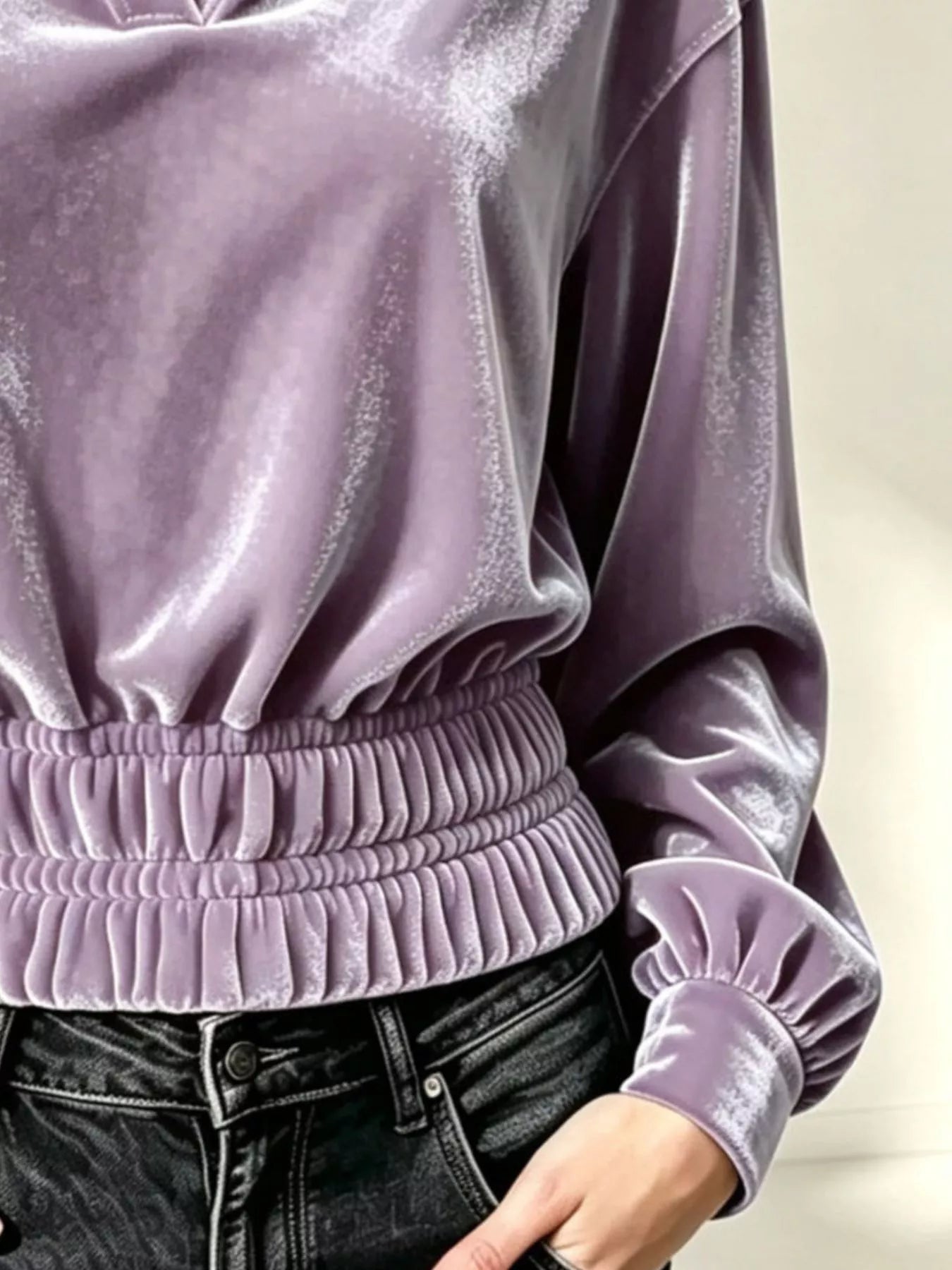 Trendsi Velvet Johnny Collar Long Sleeve Blouse -