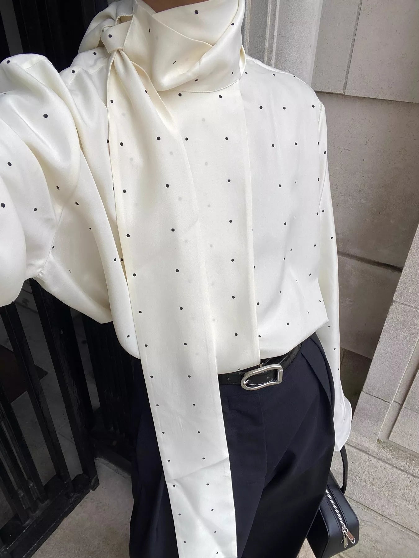 Trendsi Polka Dot Silk Blouse with Scarf Neck Tie -