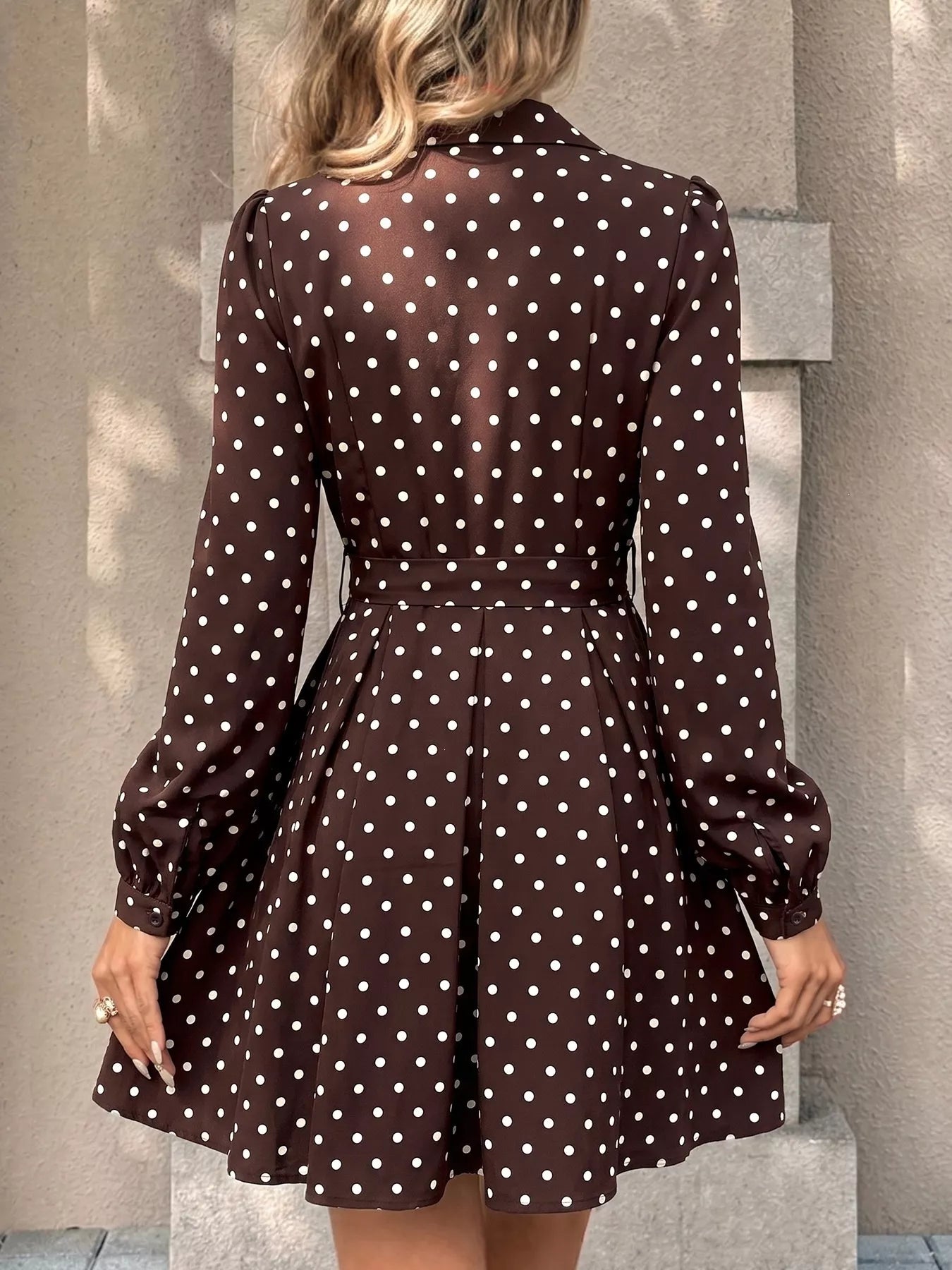 Trendsi Polka Dot Long Sleeve Shirt Dress -