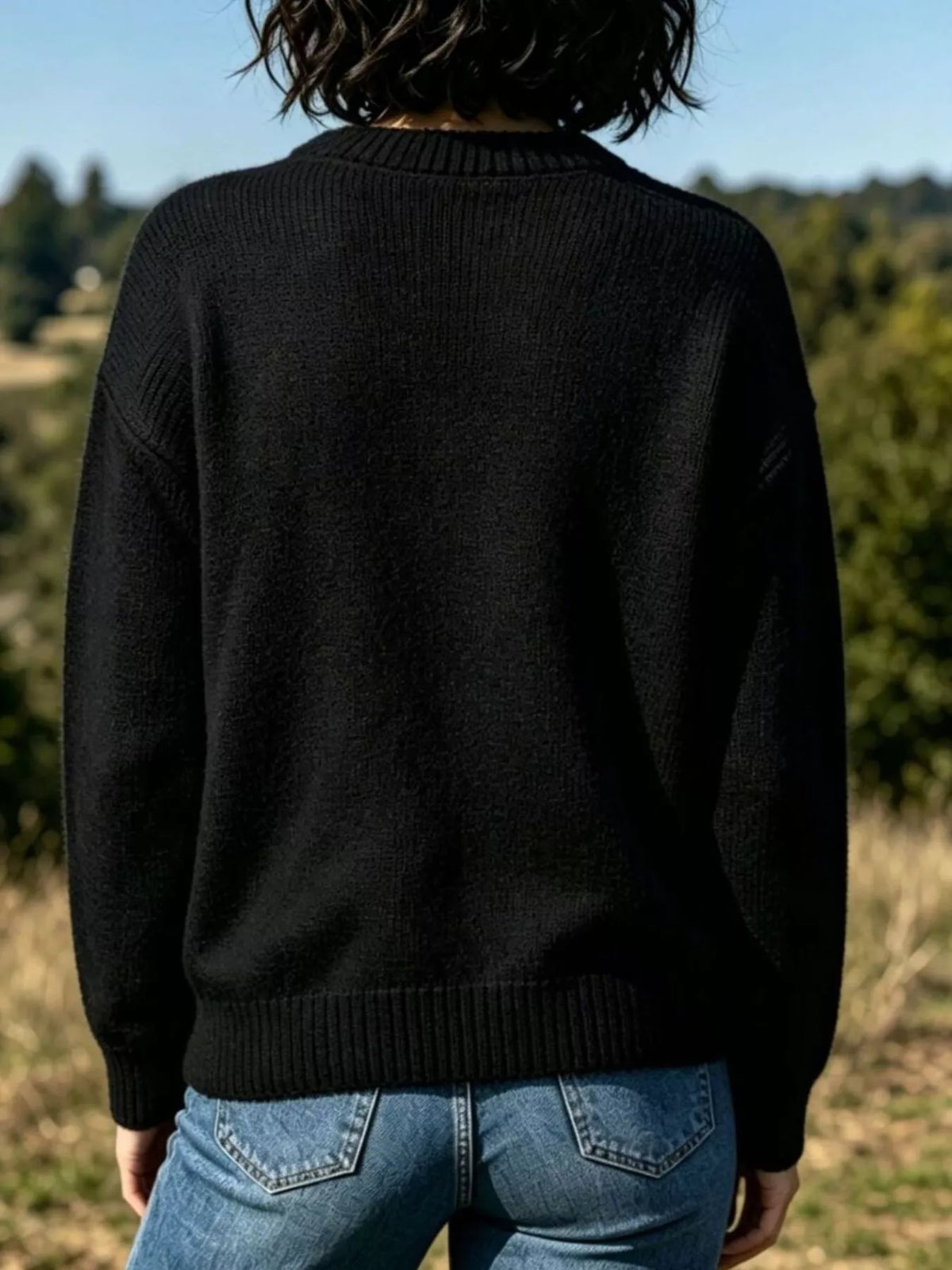 Lobster graphic crew neck sweater