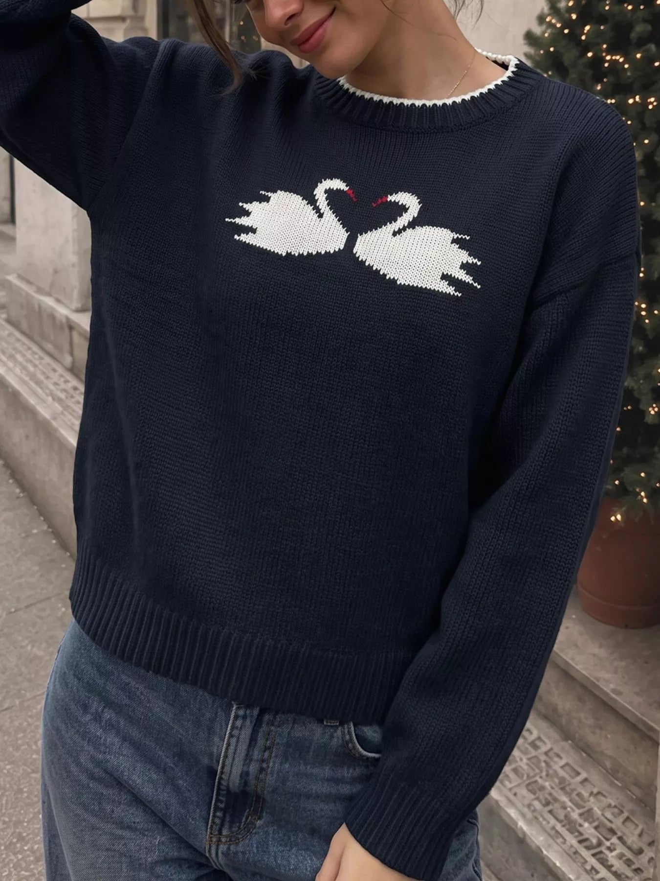 Trendsi Swan Dropped Shoulder Sweater -