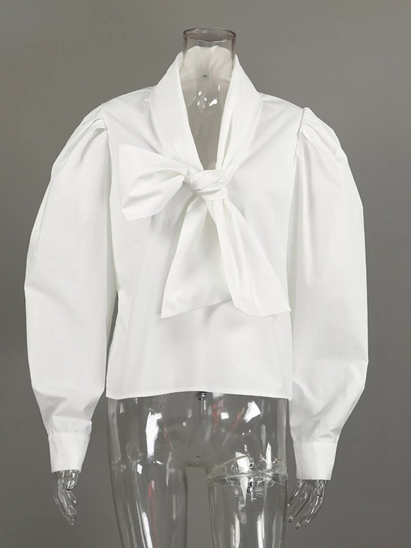 Trendsi Tie Front Puff Sleeve Shirt -