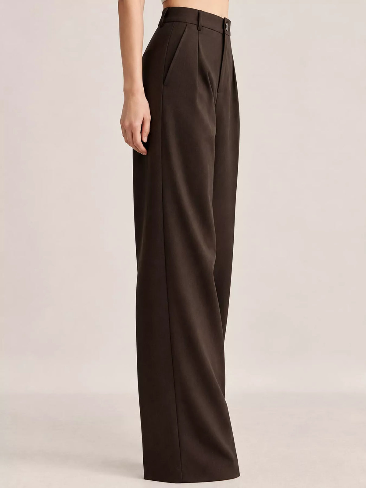 Women's Pleated Wide-Leg Trousers in brown — side view