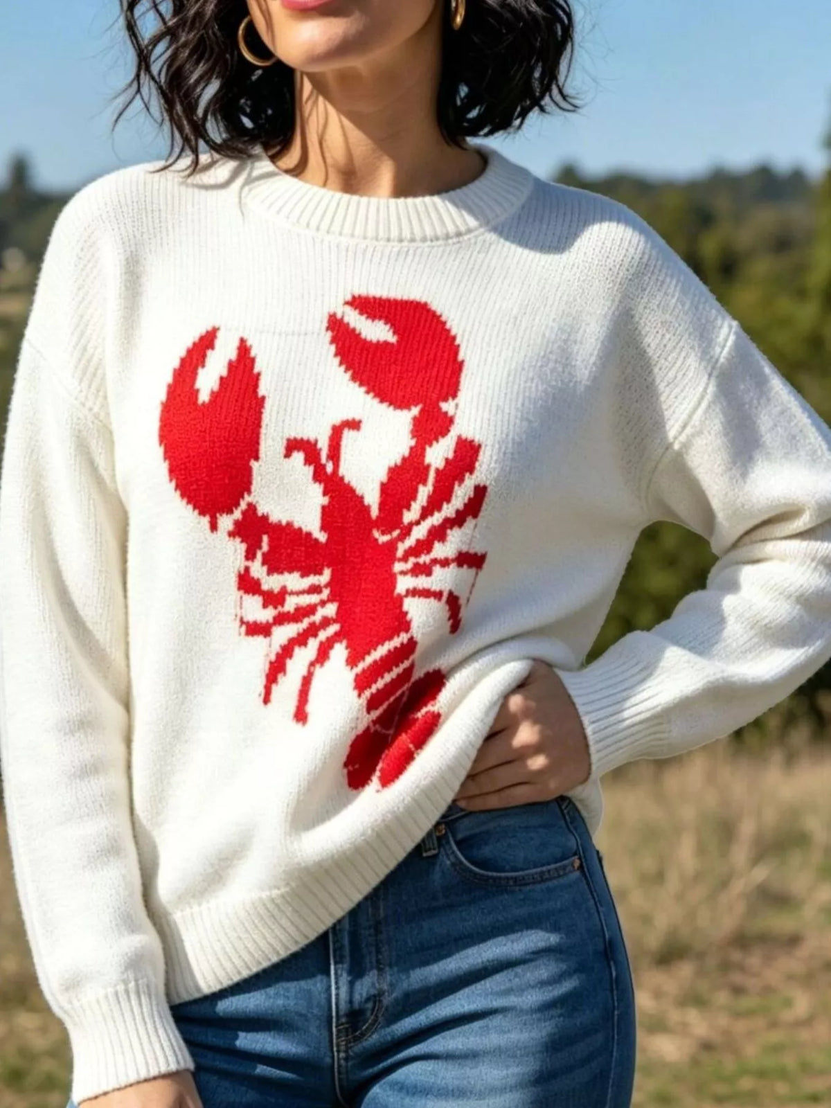 Lobster graphic crew neck sweater