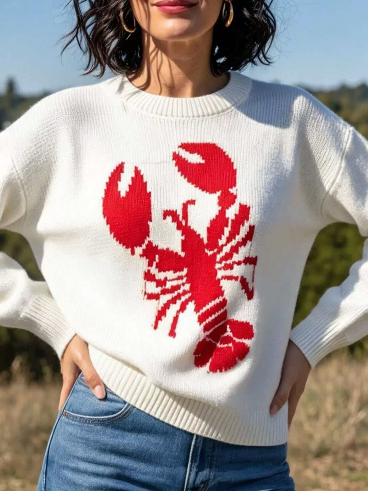 Lobster graphic crew neck sweater