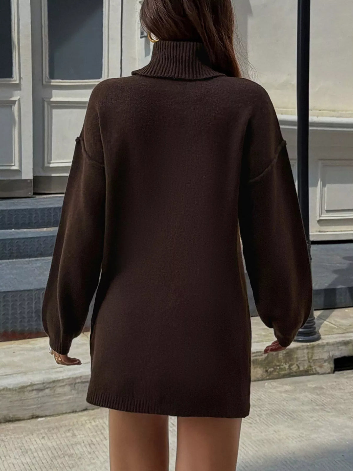 Turtleneck Long Sleeve Sweater Dress in brown, back view