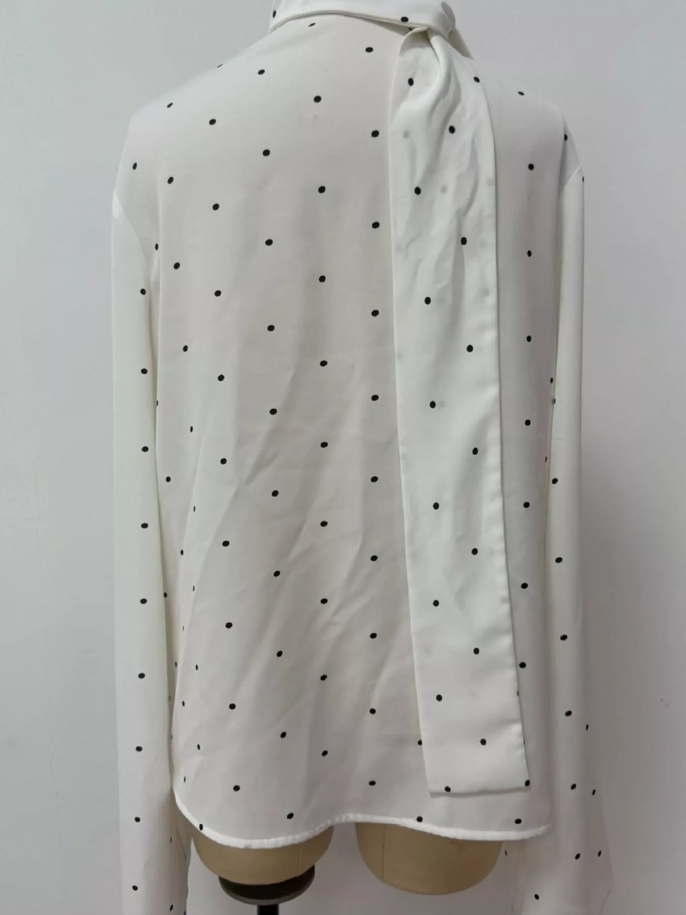 Trendsi Polka Dot Silk Blouse with Scarf Neck Tie -