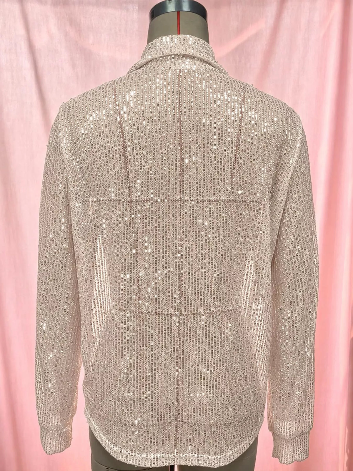 Apricot Silver sequin button up long sleeve shirt, back view