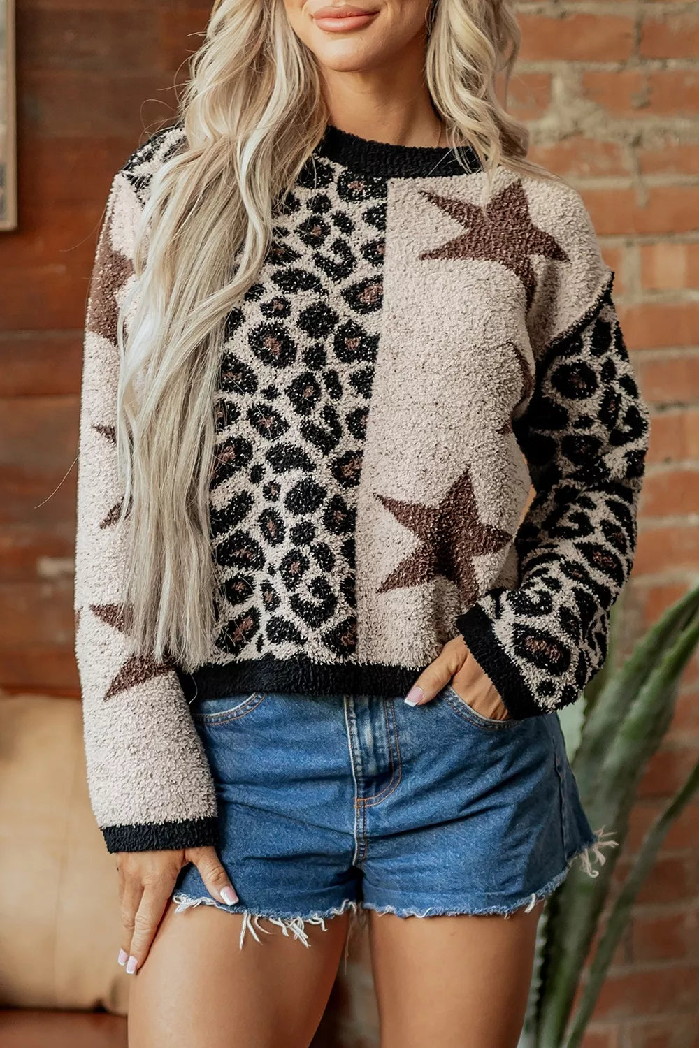 Trendsi Leopard Star Pattern Round Neck Long Sleeve Shift Sweater -