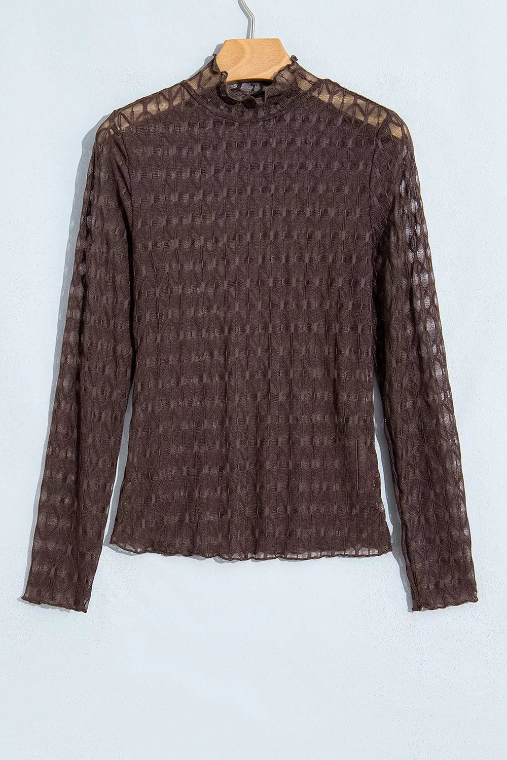 Trendsi Sheer Textured Lace Stand Neck Long Sleeve Top -
