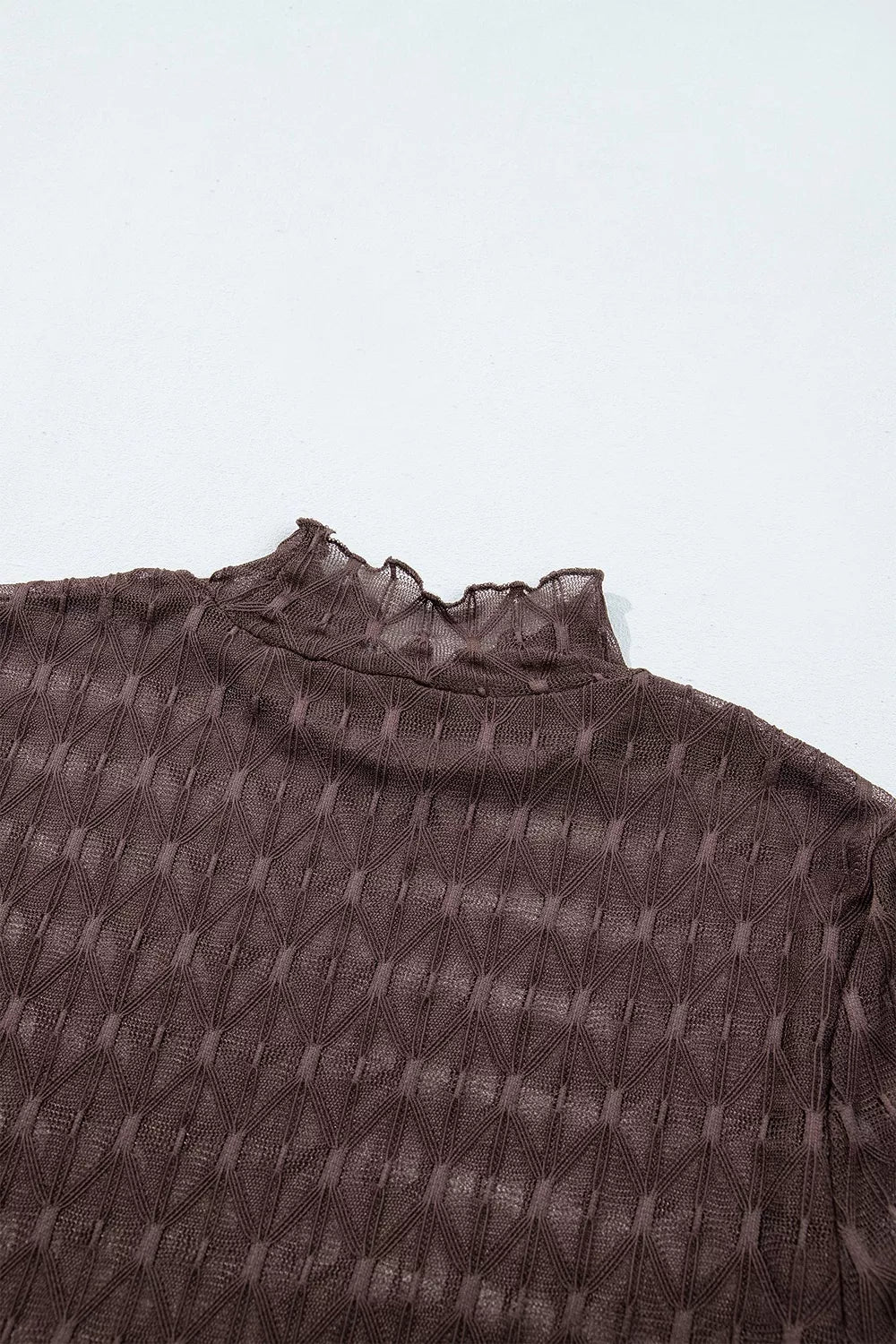 Trendsi Sheer Textured Lace Stand Neck Long Sleeve Top -
