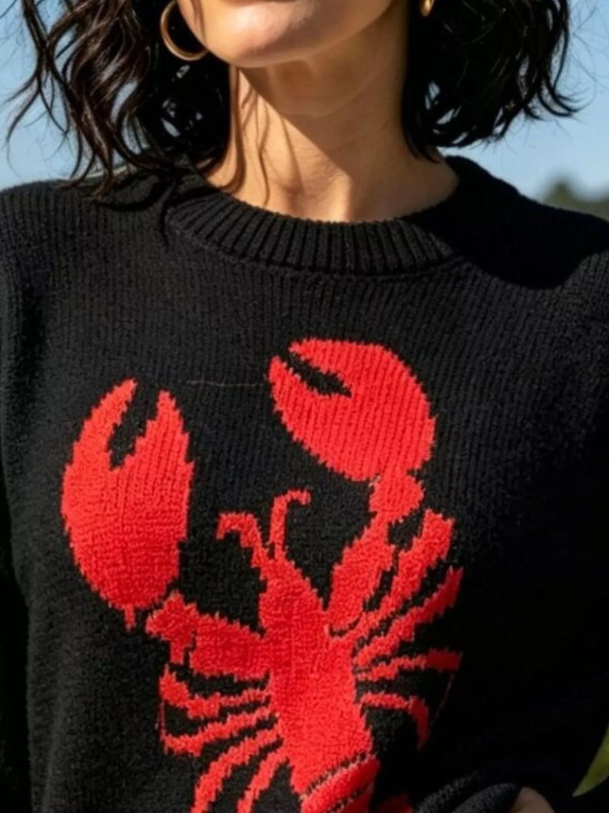 Lobster graphic crew neck sweater