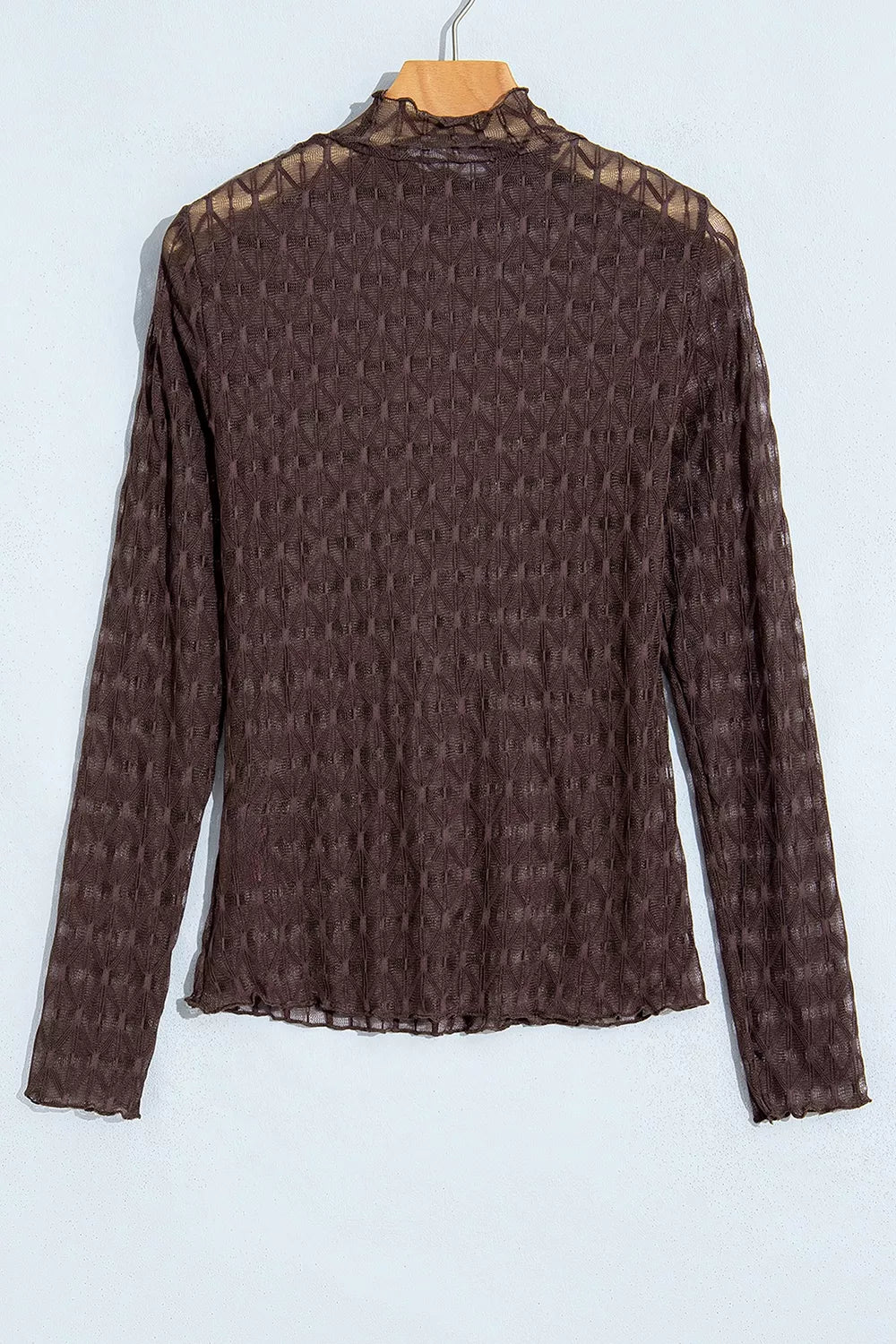 Trendsi Sheer Textured Lace Stand Neck Long Sleeve Top -