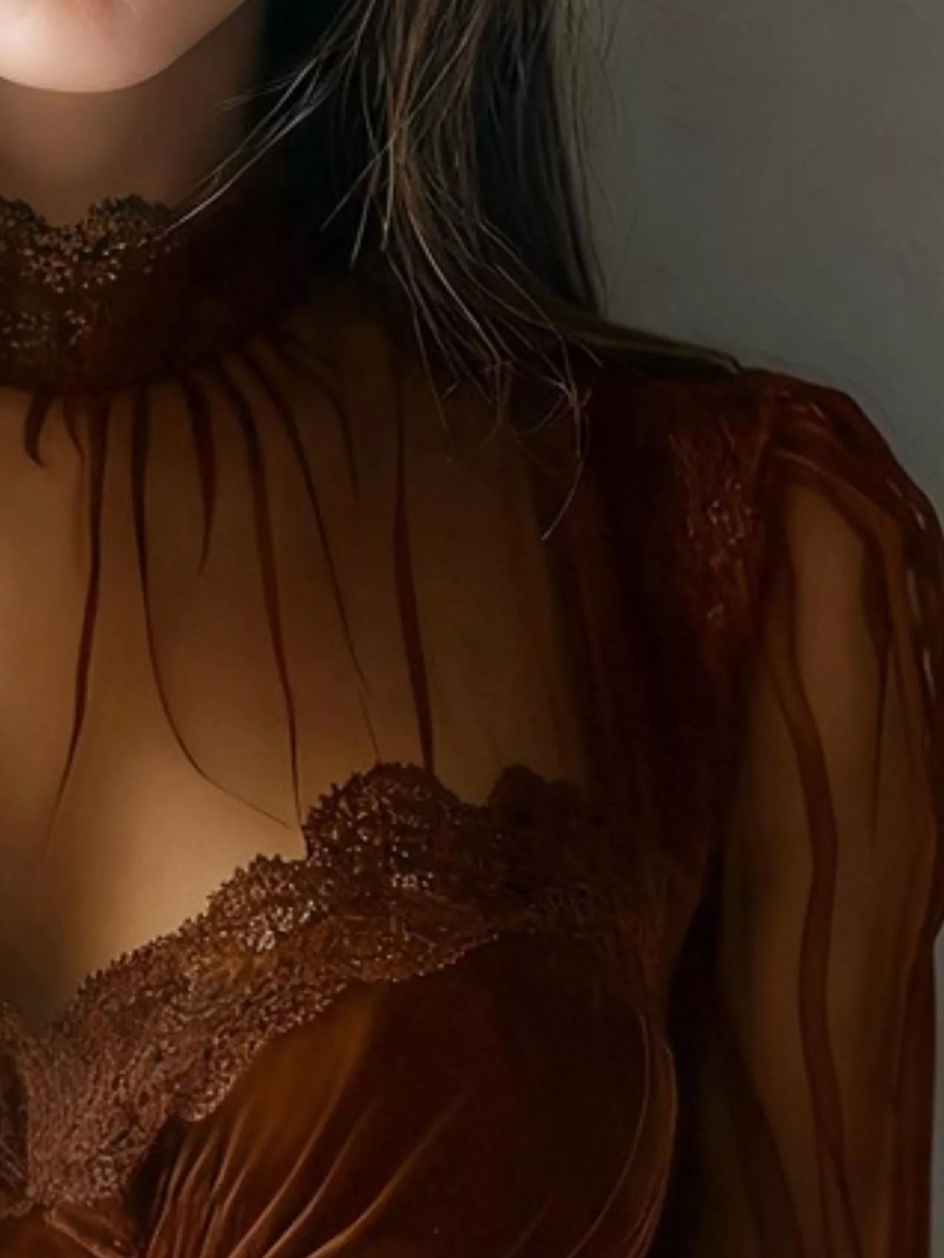 Trendsi Lace Trim Velvet Sheer Sleeve Blouse -