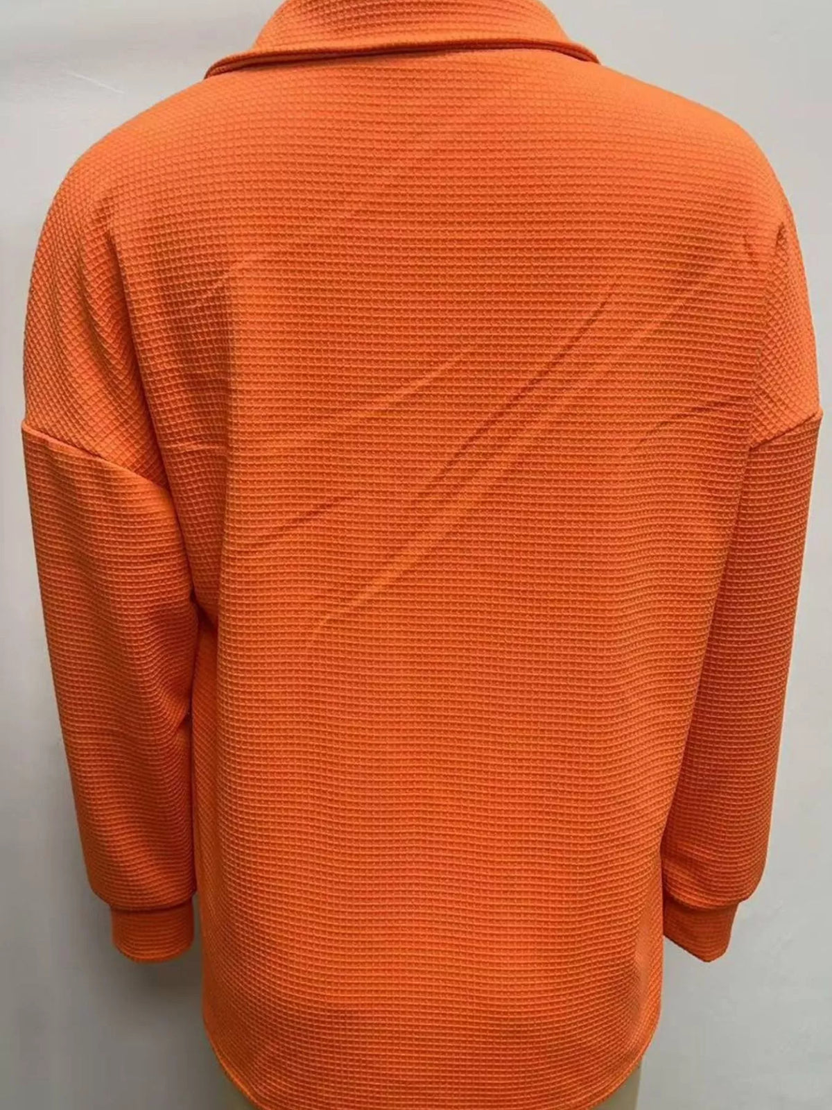 Collared long sleeve top, back view