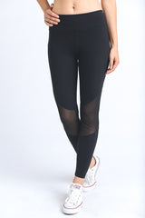 Mono B Mesh Panel Block Leggings - Active
